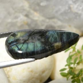 Spectrolite multicolore naturelle en forme de poire, 6,57 ct, opaque