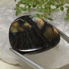 Spectrolite Multicolore naturelle Forme fantaisie, 24.99 ct, Opaque