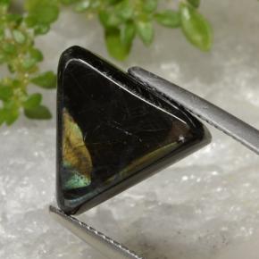 Spectrolite multicolore naturelle trillion, 5,25 ct, opaque