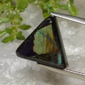 Spectrolite multicolore naturelle trillion, 5,25 ct, opaque