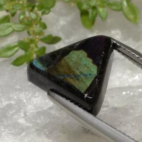 Spectrolite multicolore naturelle trillion, 5,25 ct, opaque
