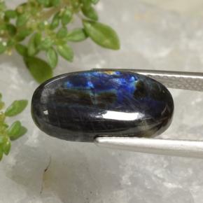 Spectrolite Multicolore naturelle Coupe ovale, 3.52 ct, Opaque