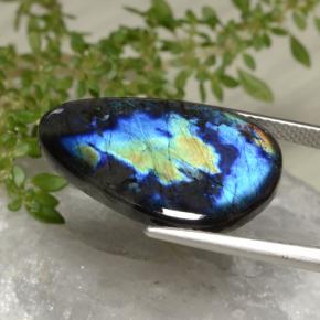 Spectrolite multicolore naturelle forme fantaisie, 9,44 ct, opaque