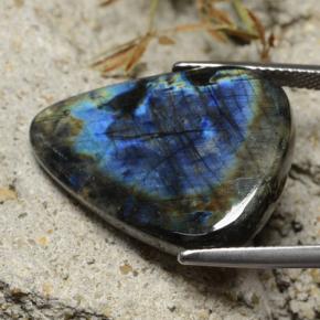 Spectrolite multicolore naturelle en forme de poire, 17,21 ct, opaque
