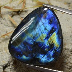 Spectrolite multicolore naturelle trillion, 15,43 ct, opaque