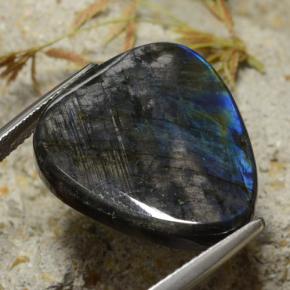 Spectrolite multicolore naturelle trillion, 15,43 ct, opaque