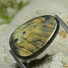 Spectrolite Multicolore naturelle Forme fantaisie, 7.78 ct, Opaque