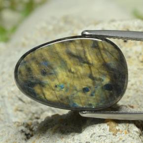 Spectrolite Multicolore naturelle Forme fantaisie, 7.78 ct, Opaque