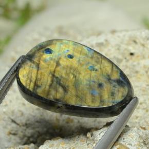 Spectrolite Multicolore naturelle Forme fantaisie, 7.78 ct, Opaque