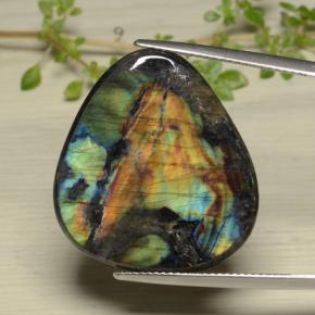 Spectrolite multicolore naturelle trillion, 14,38 ct, opaque
