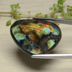 Spectrolite multicolore naturelle trillion, 14,38 ct, opaque