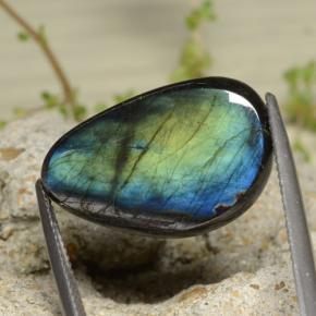 Spectrolite multicolore naturelle forme fantaisie, 11,39 ct, opaque