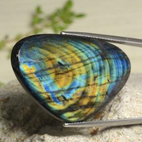 Spectrolite multicolore naturelle trillion, 29,30 ct, opaque