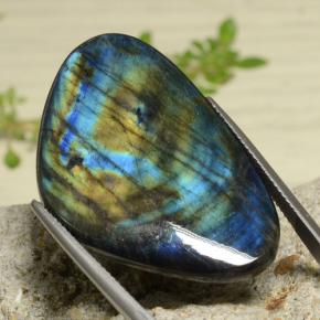 Spectrolite multicolore naturelle trillion, 29,30 ct, opaque