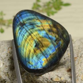 Spectrolite multicolore naturelle trillion, 29,30 ct, opaque