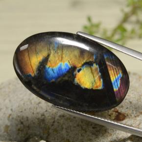 Spectrolite multicolore naturelle coupe ovale, 18,04 ct, opaque