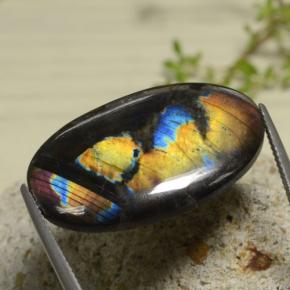 Spectrolite multicolore naturelle coupe ovale, 18,04 ct, opaque