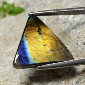 Spectrolite multicolore naturelle trillion, 9,73 ct, opaque