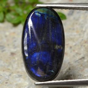 Spectrolite multicolore naturelle coupe ovale, 4,55 ct, opaque