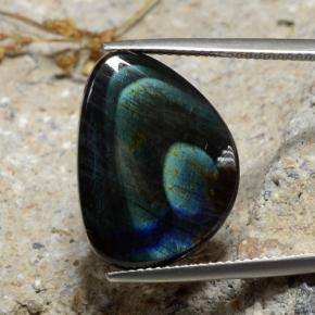 Spectrolite Multicolore naturelle Forme fantaisie, 9.82 ct, Opaque