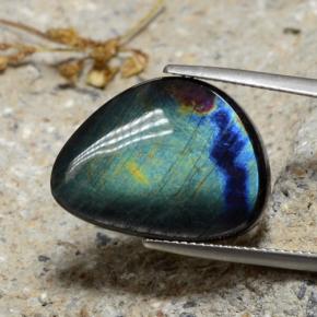 Spectrolite Multicolore naturelle Forme fantaisie, 9.82 ct, Opaque