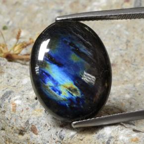 Spectrolite Multicolore naturelle Coupe ovale, 10.68 ct, Opaque