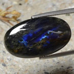 Spectrolite multicolore naturelle coupe ovale, 14,49 ct, opaque