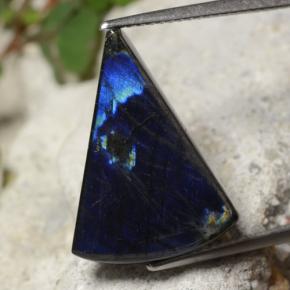 Spectrolite multicolore naturelle trillion, 7,77 ct, opaque