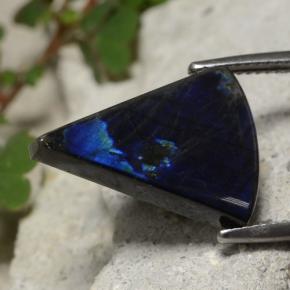 Spectrolite multicolore naturelle trillion, 7,77 ct, opaque