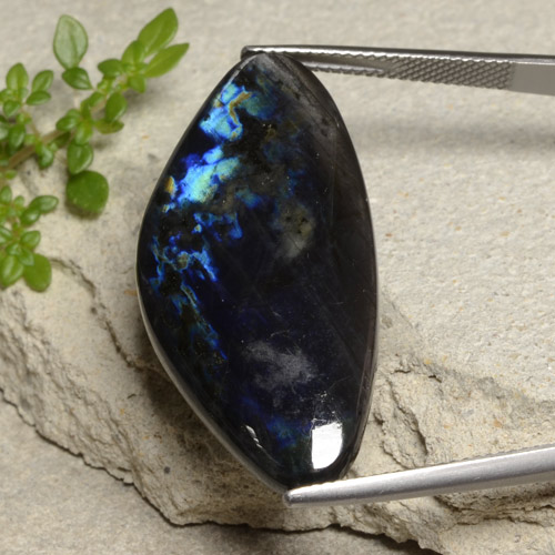Spectrolite multicolore naturelle forme fantaisie, 23,37 ct, opaque