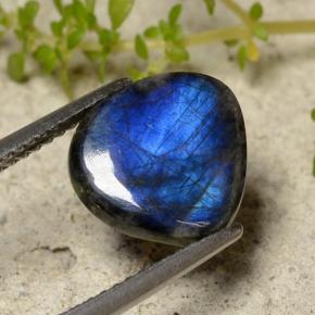 Spectrolite Multicolore naturelle Forme fantaisie, 2.60 ct, Opaque