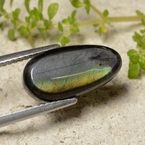 Spectrolite multicolore naturelle en forme de poire, 4,09 ct, opaque