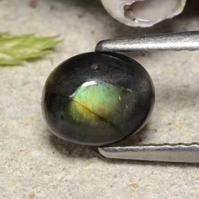 Spectrolite multicolore naturelle coupe ovale, 0,74 ct, opaque