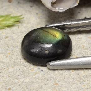 Spectrolite multicolore naturelle coupe ovale, 0,74 ct, opaque