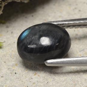 Spectrolite Multicolore naturelle Coupe ovale, 1.49 ct, Opaque