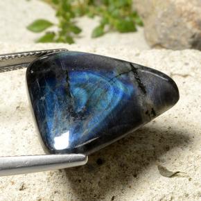 Spectrolite multicolore naturelle trillion, 10,62 ct, opaque