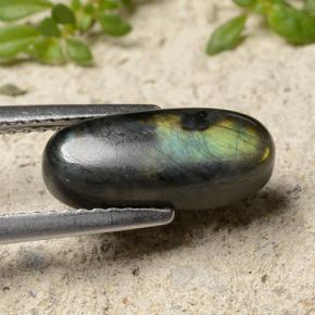 Spectrolite Multicolore naturelle Coupe ovale, 2.84 ct, Opaque