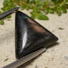 Spectrolite multicolore naturelle trillion, 4,11 ct, opaque