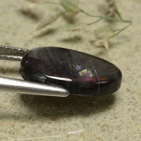 Spectrolite multicolore naturelle coupe ovale, 3,17 ct, opaque