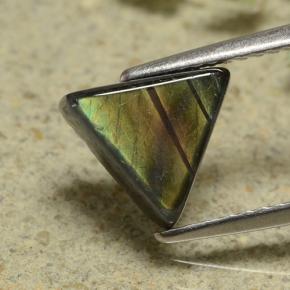 Spectrolite multicolore naturelle trillion, 1,89 ct, opaque