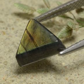 Spectrolite multicolore naturelle trillion, 1,89 ct, opaque