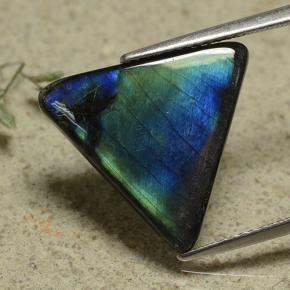 Spectrolite multicolore naturelle trillion, 5,79 ct, opaque
