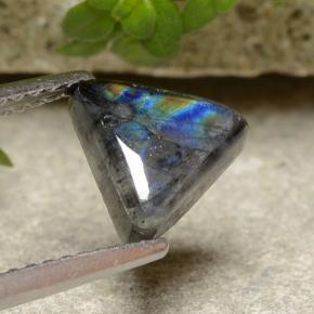 Spectrolite Multicolore naturelle Trillion, 1.29 ct, Opaque