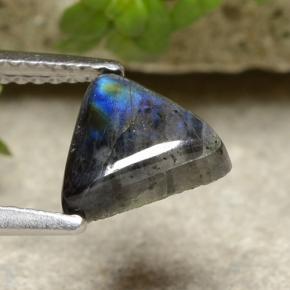 Spectrolite Multicolore naturelle Trillion, 1.29 ct, Opaque