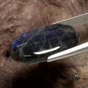 Spectrolite Multicolore naturelle Coupe ovale, 16.82 ct, Opaque