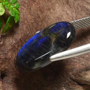 Spectrolite Multicolore naturelle Coupe ovale, 5.07 ct, Opaque