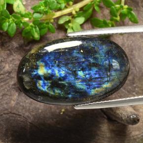Spectrolite multicolore naturelle coupe ovale, 12,54 ct, opaque