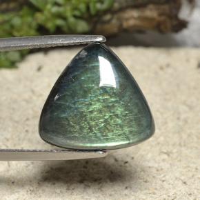 Spectrolite multicolore naturelle trillion, 9,60 ct, opaque