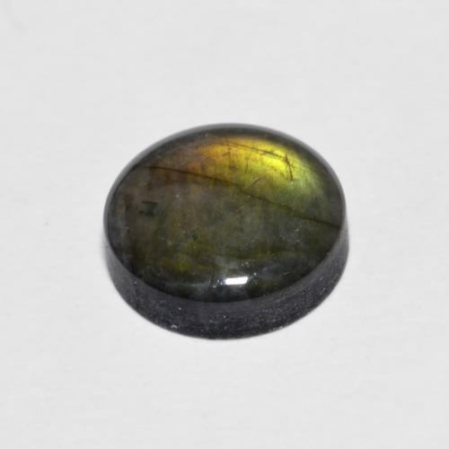 Spectrolite Multicolore naturelle Coupe roude, 1.60 ct, Opaque