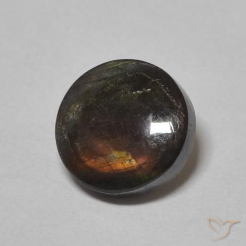 Spectrolite Multicolore naturelle Tour, 1.51 ct, Opaque